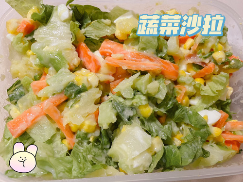 【日常】今天是蔬菜沙拉